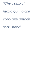Casella di testo: “Che cazzo ci faccio qui, io che sono una grande rock-star?”