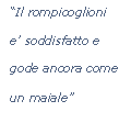 Casella di testo: “Il rompicoglioni e’ soddisfatto e gode ancora come un maiale”